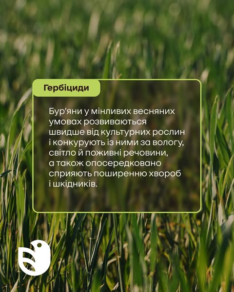 Ukravit — Як позбутися дводольних бур'янів · 2