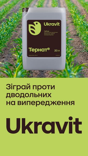 Ukravit — Зіграй проти дводольних на випередження